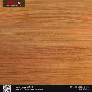 Sàn gỗ Janmi T12