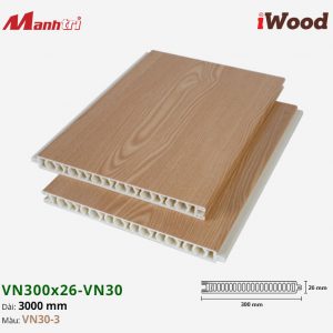 iWood VN30-3 hình 2