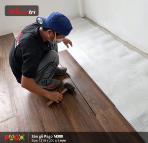 công trình Pago M308 hình 12