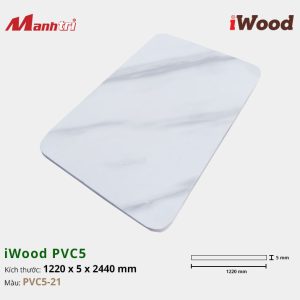 Tấm ốp iWood PVC5-21