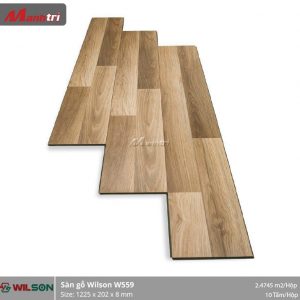Sàn gỗ Wilson W559
