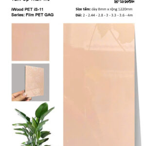 Tấm Than Tre Film Pet iS-11