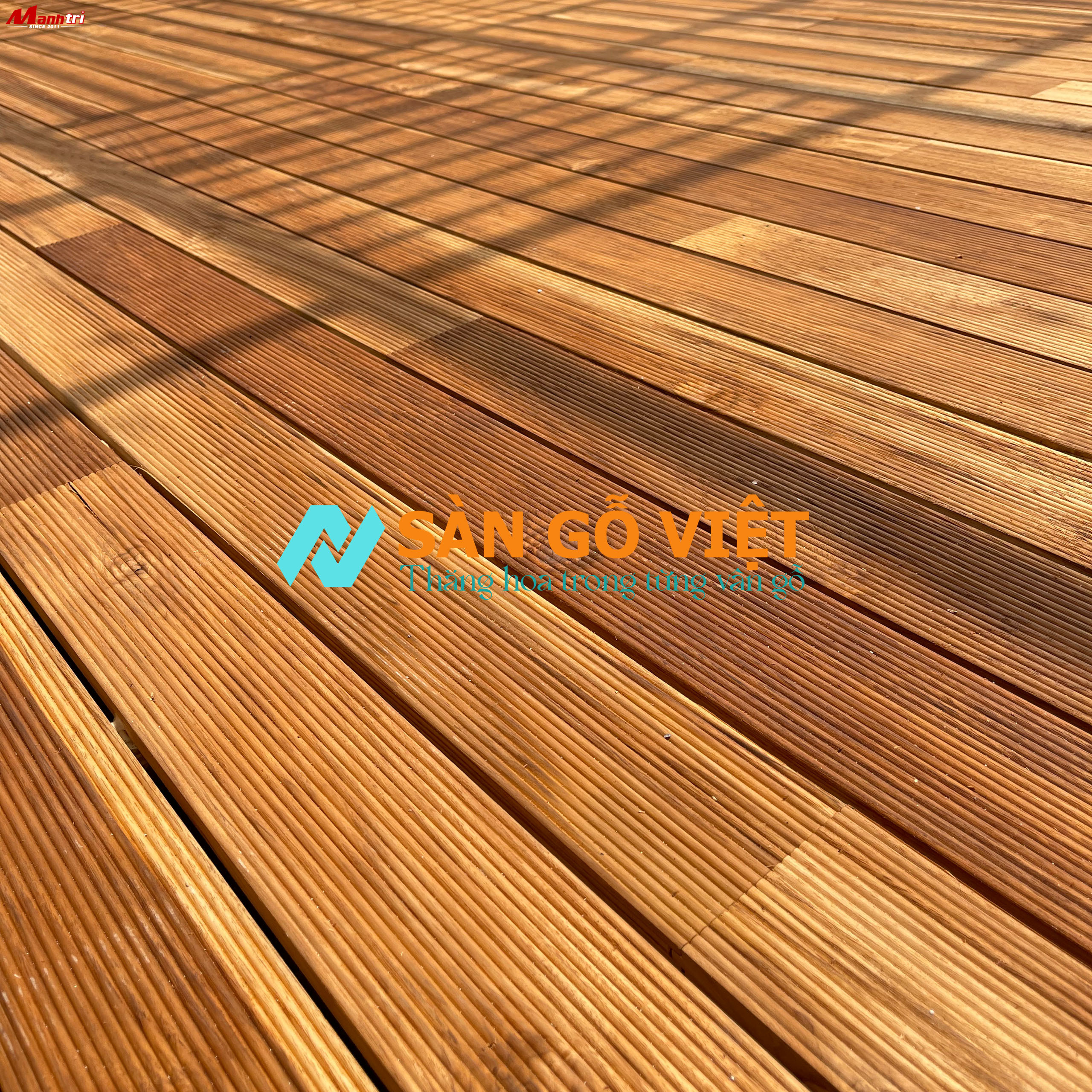 Bảng Giá Sàn Gỗ Teak (Giá Tỵ) – Gỗ Tự Nhiên Cao Cấp 2026