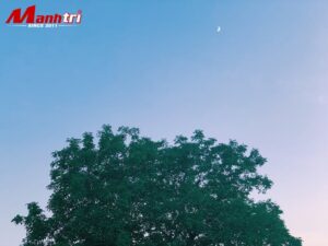Thi công tấm panel công nghệ thực tế 2026
