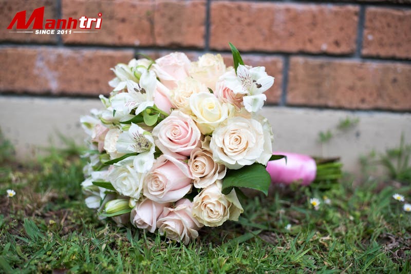 Ứng dụng trần giả gỗ trong nội thất