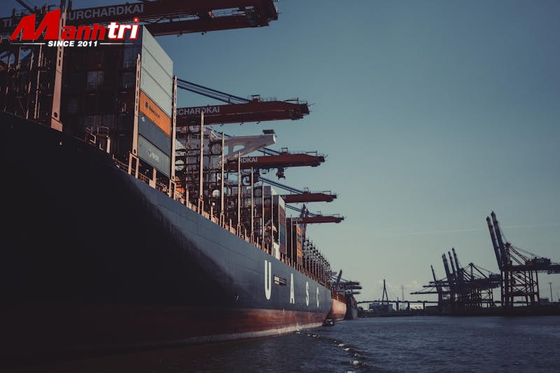 tấm ốp tường nhà tắm chống nước 100% mẫu đẹp 2026