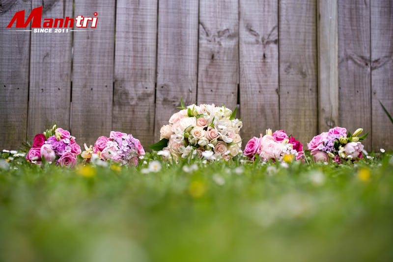 Ứng dụng tấm ốp than tre iWood