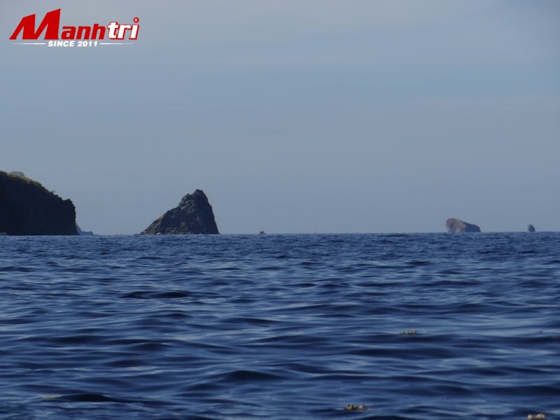 Sàn gỗ công nghiệp loại nào tốt