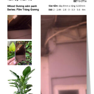 Tấm ốp than tre iWood Film tráng gương sâm panh