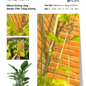 Tấm ốp than tre iWood Film tráng gương vàng