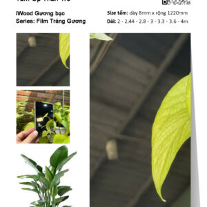 Tấm ốp than tre iWood Film tráng gương bạc