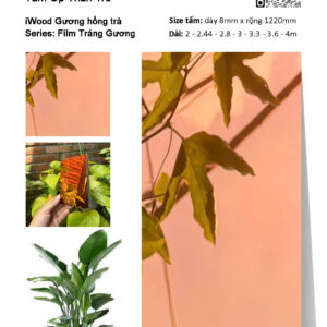 Tấm ốp than tre iWood Film tráng gương hồng trà